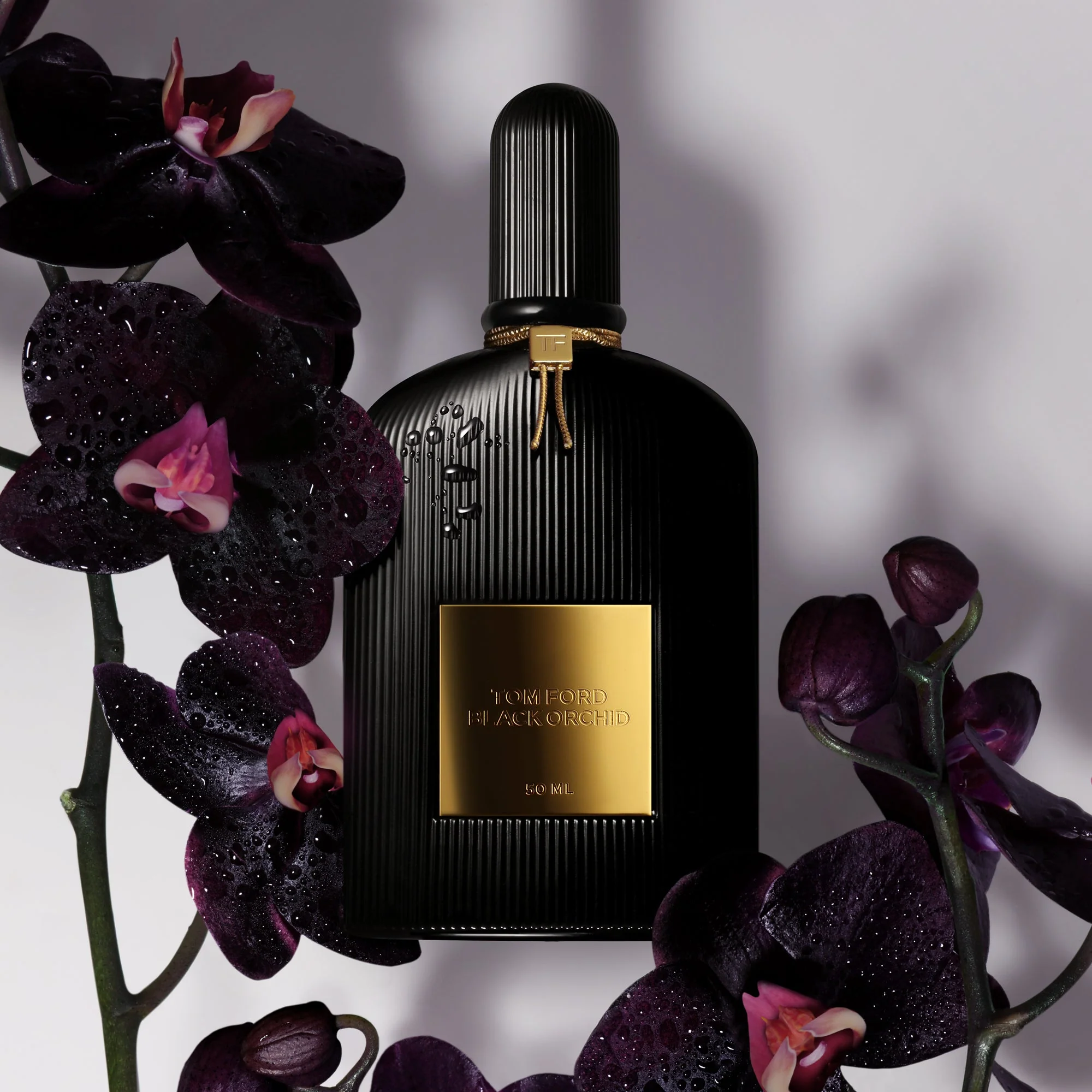 Perfume Philosophy